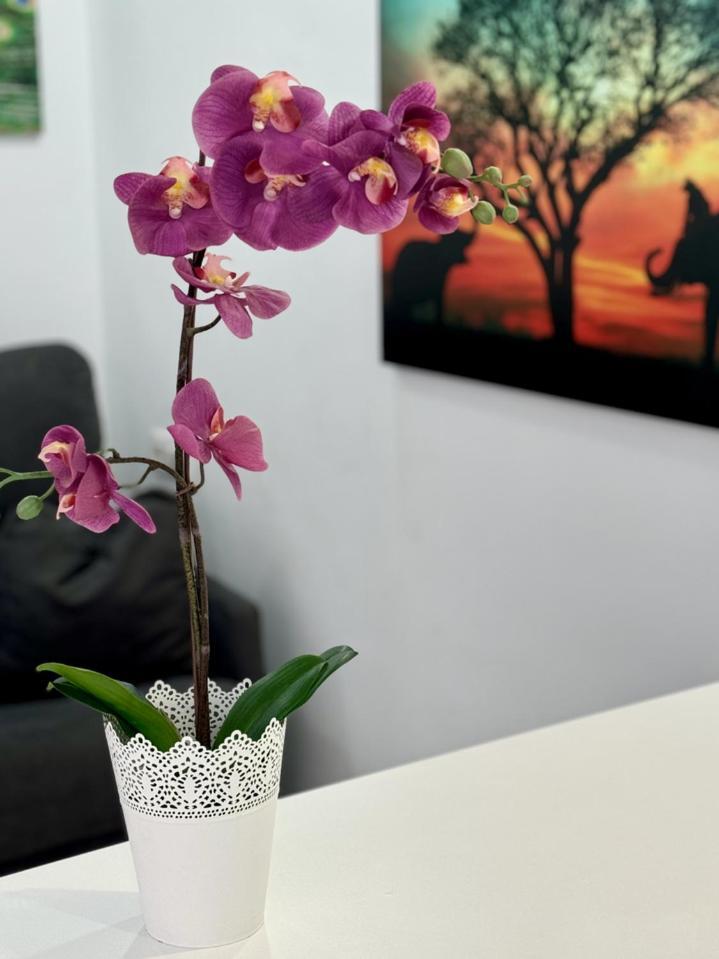 San Eugenio Charming Renovated Apartment Tenerife Costa Adeje  Εξωτερικό φωτογραφία