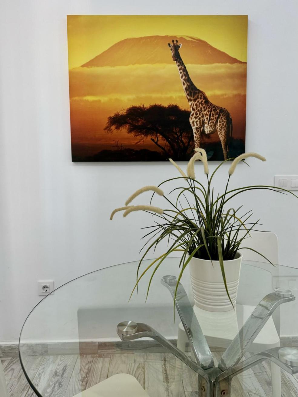 San Eugenio Charming Renovated Apartment Tenerife Costa Adeje  Εξωτερικό φωτογραφία