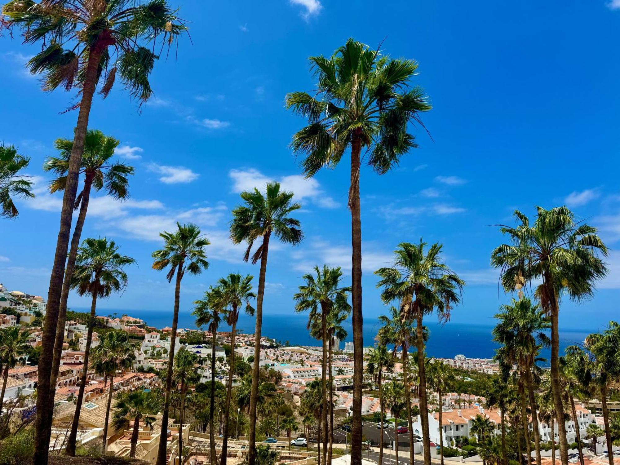 San Eugenio Charming Renovated Apartment Tenerife Costa Adeje  Εξωτερικό φωτογραφία