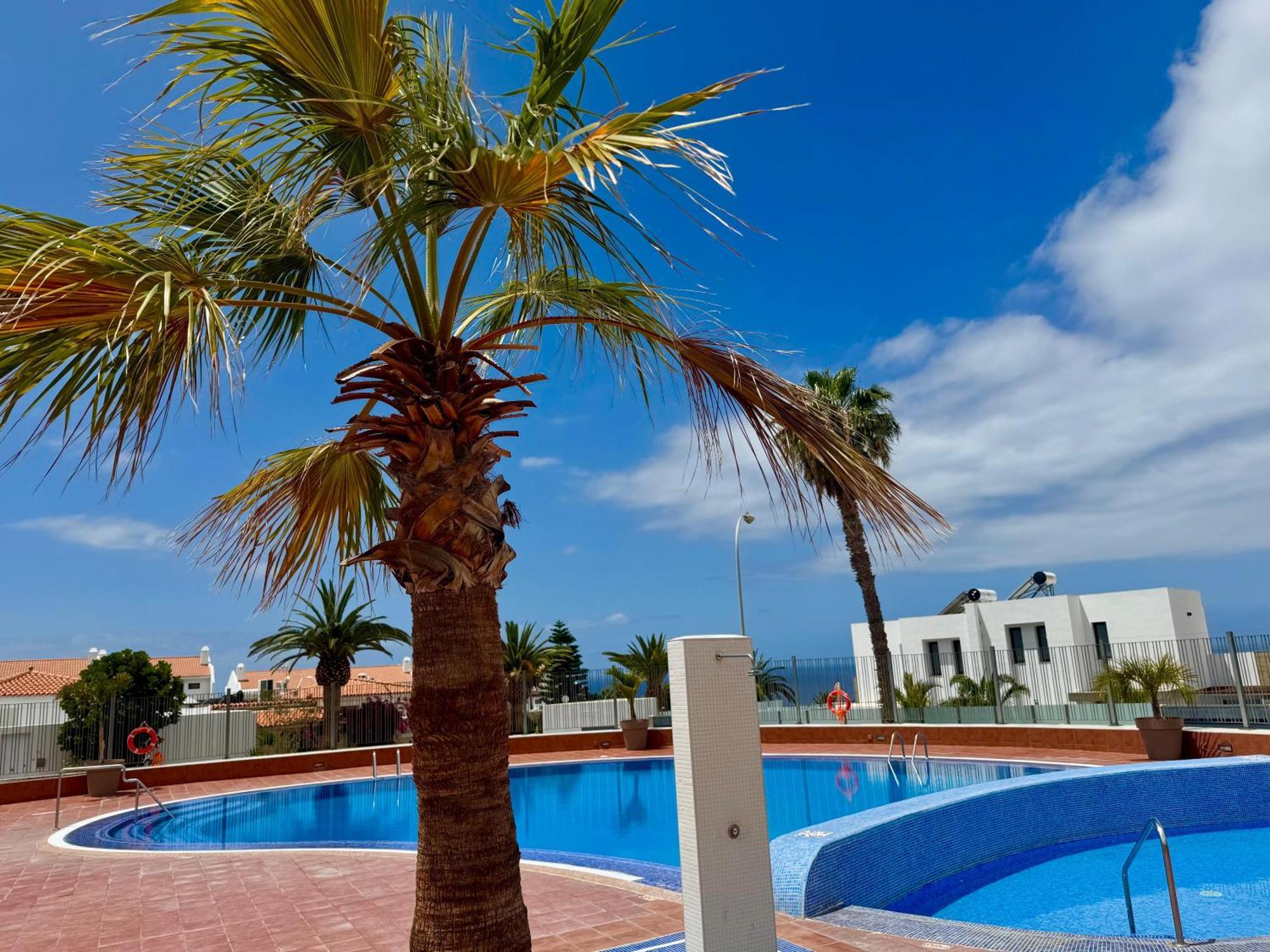 San Eugenio Charming Renovated Apartment Tenerife Costa Adeje  Εξωτερικό φωτογραφία
