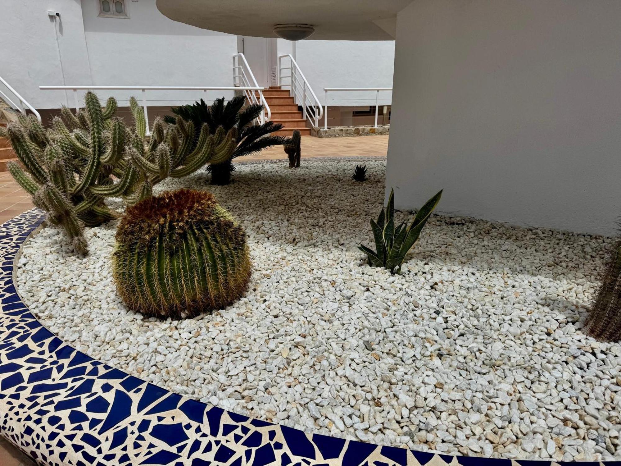 San Eugenio Charming Renovated Apartment Tenerife Costa Adeje  Εξωτερικό φωτογραφία
